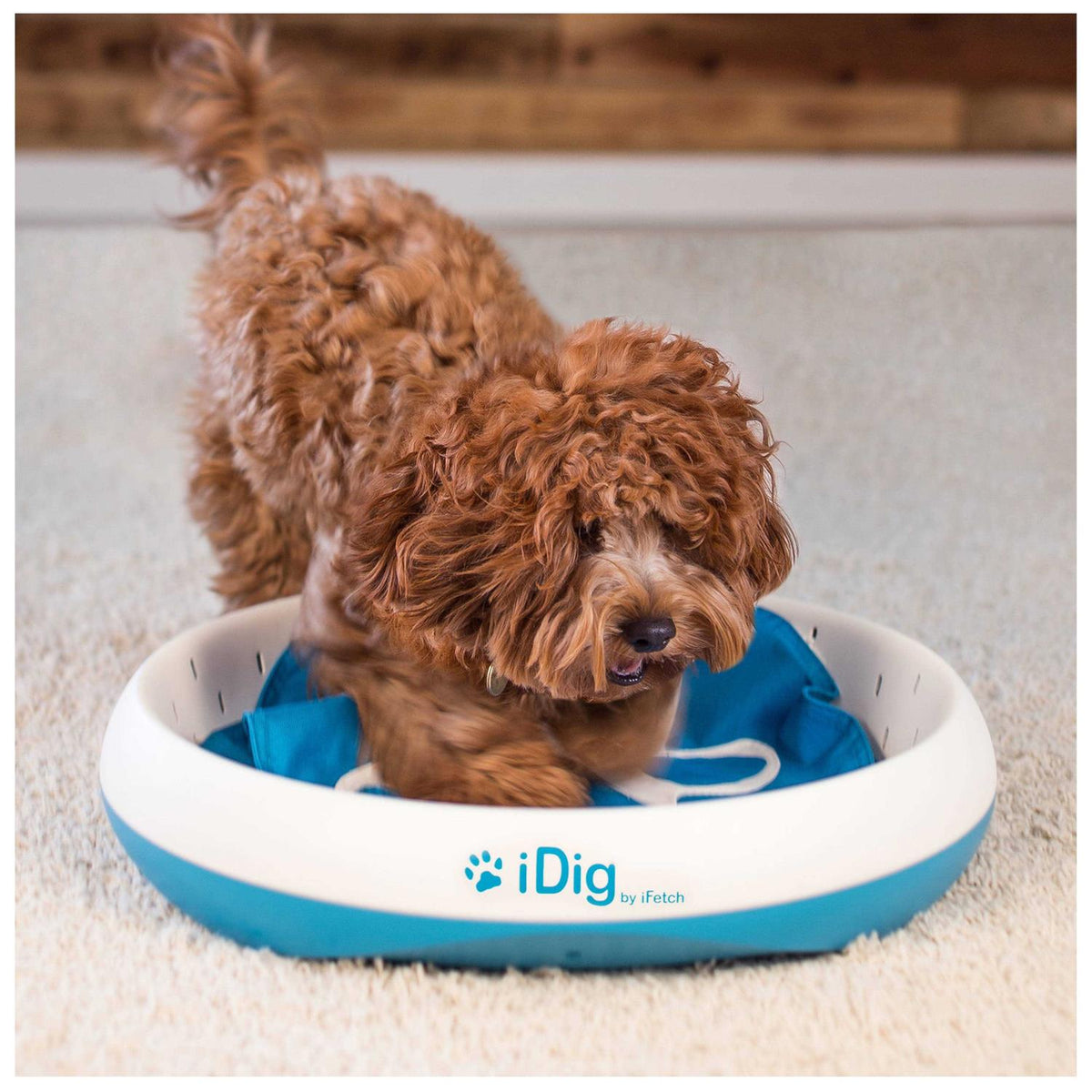 Dog Digging Toy B239