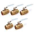 1-1/2 in. FIP x 1-1/2 in. FIP Brass Full Port Ball Valve (5-Pack) R437