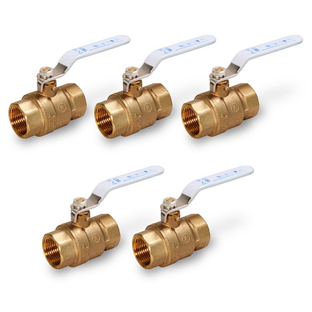1-1/2 in. FIP x 1-1/2 in. FIP Brass Full Port Ball Valve (5-Pack) R437