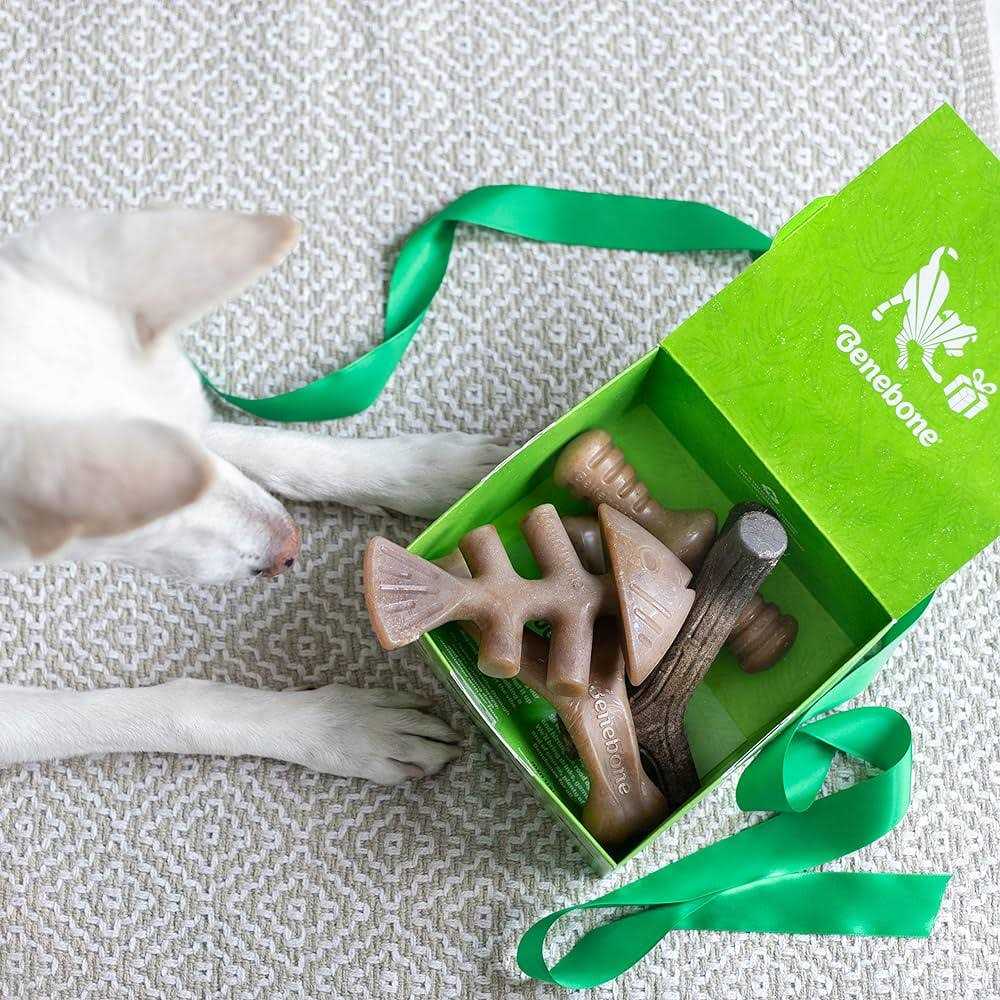Dog Chew Toy 4 Pack X25180