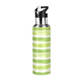 20 oz Insulated Stainless Steel Water Bottle with Straw Lid G522135