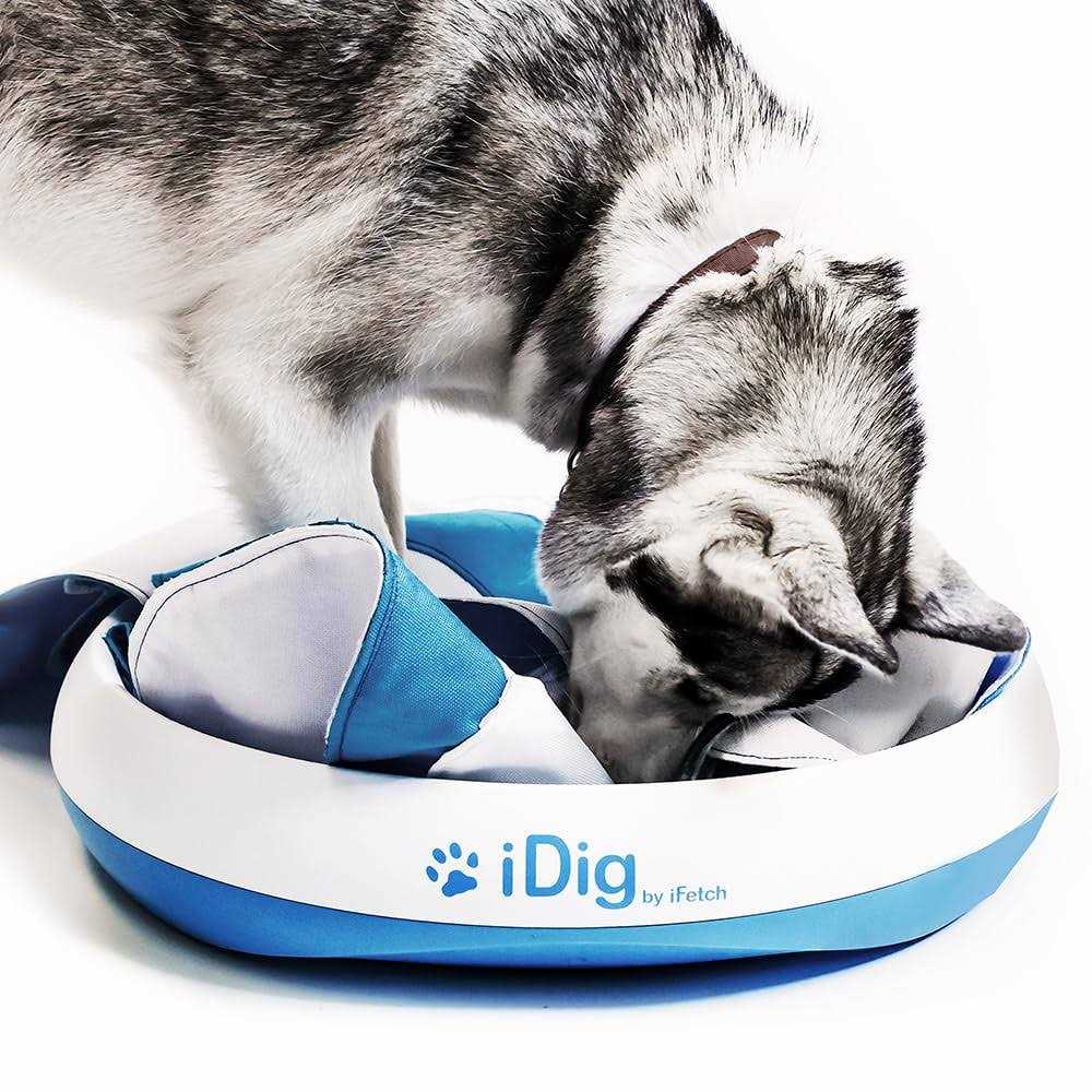 Dog Digging Toy B239