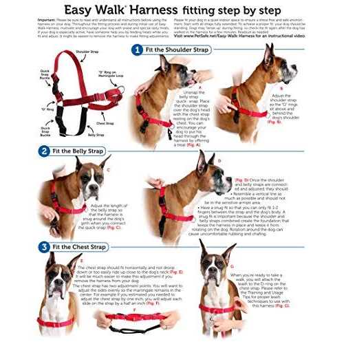 Easy Walk Dog Harness C160762
