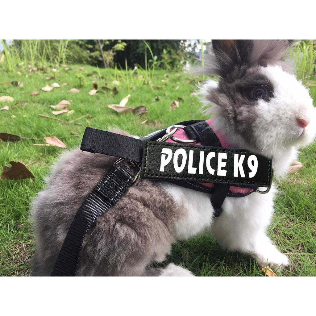 Rabbit Harness with Leash Z40547