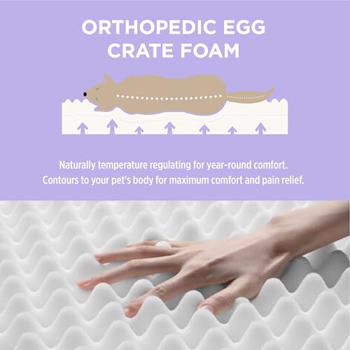 Waterproof Orthopedic Egg Crate Foam Dog Bed with Removable Washable Cover, Green Q978251