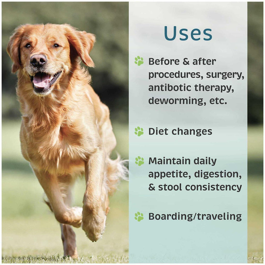 Probiotic Nutritional Supplement for Dogs B9431