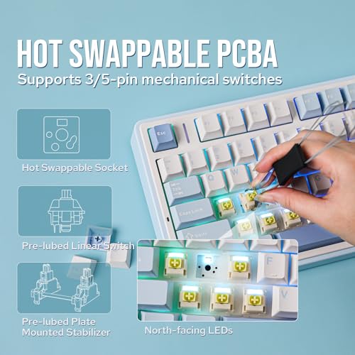 Light Blue 75% Wireless Mechanical Keyboard N558