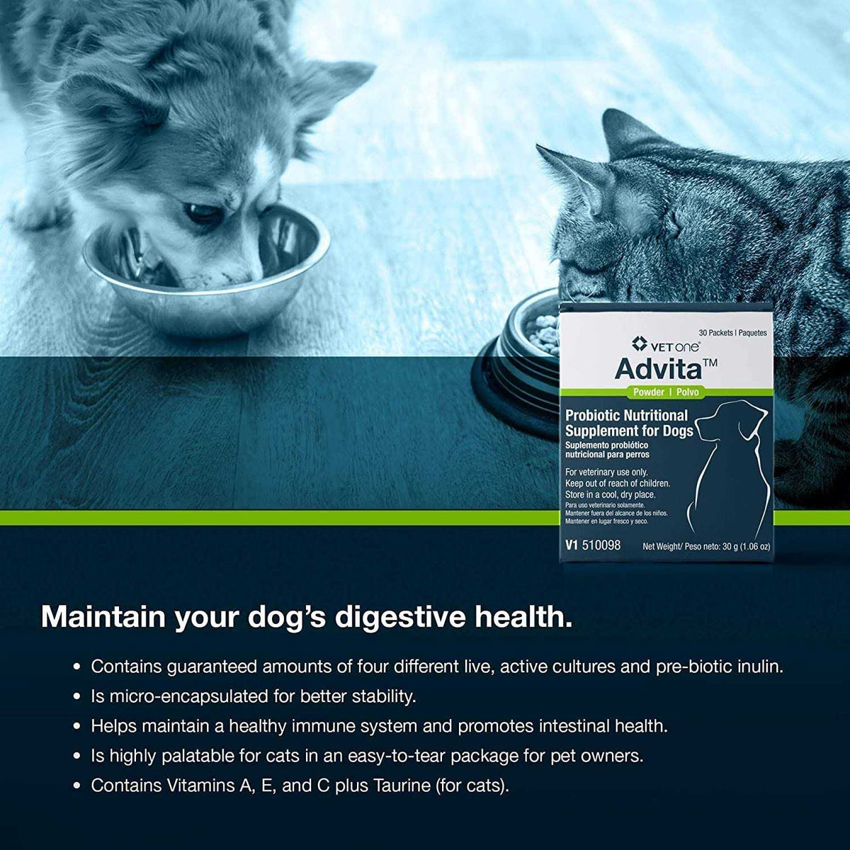 Probiotic Nutritional Supplement for Dogs B9431