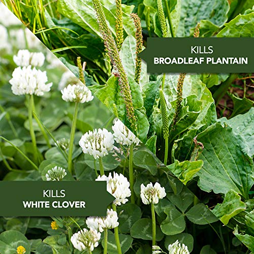 32 oz Weed Killer Concentrate Z3304