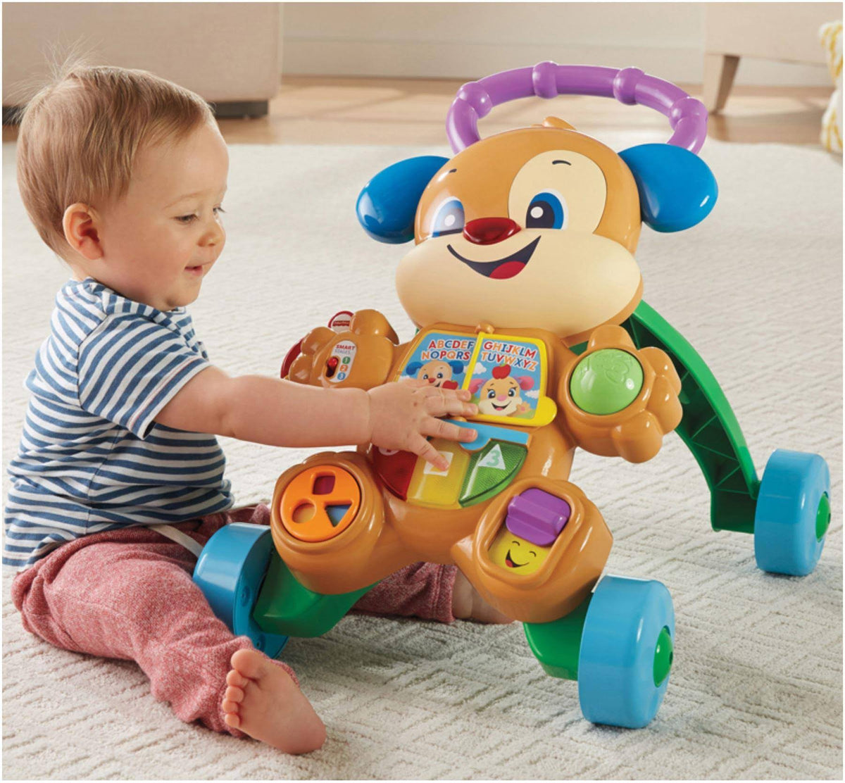 Learn with Puppy Walker V704572