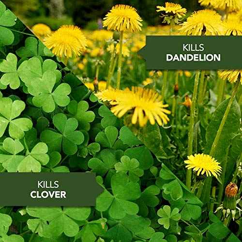 32 oz Weed Killer Concentrate Z3304