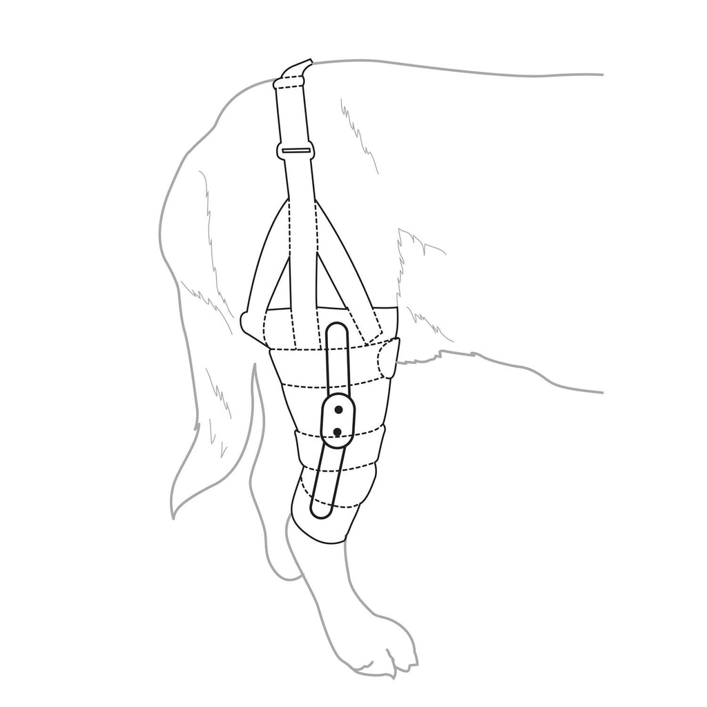Dog Knee Brace B217
