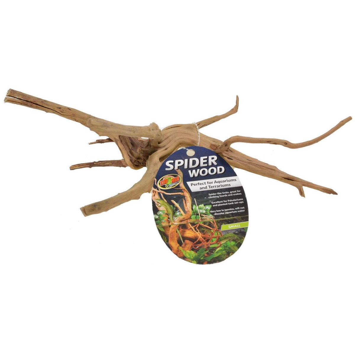Spider Wood V433267