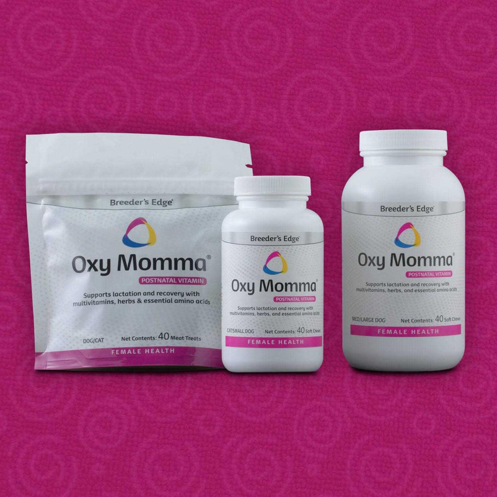 Nursing & Recovery Supplement W6612