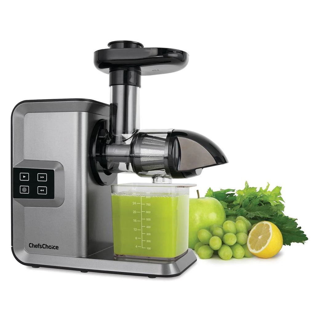Silver Masticating Juicer R9737