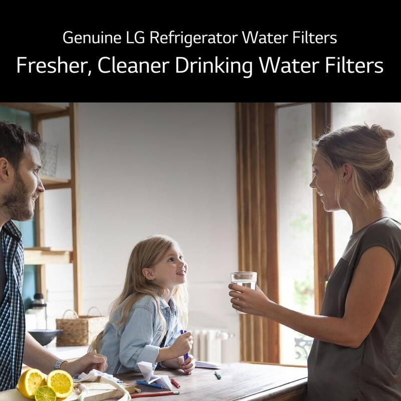 Refrigerator Water Filter L6012