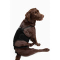 Dog Back Brace V169