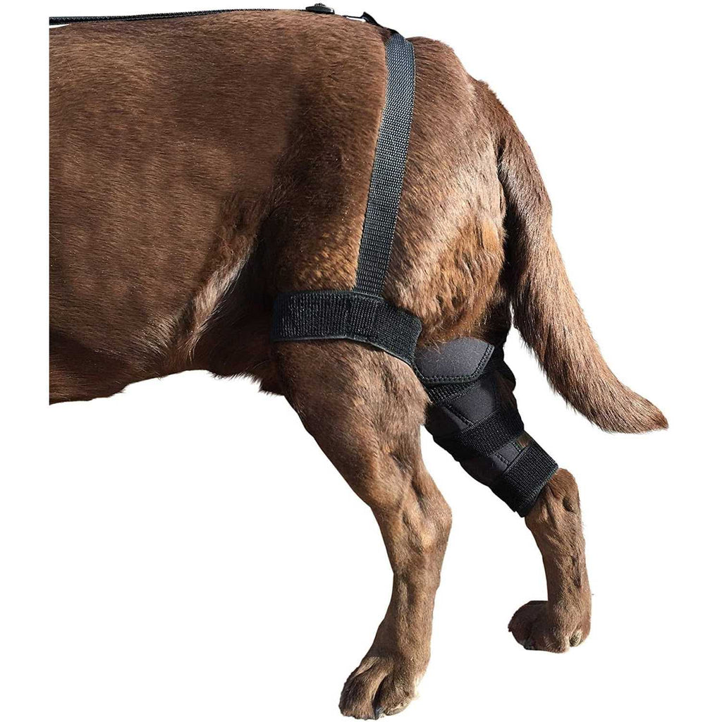 Dog Knee Brace B217