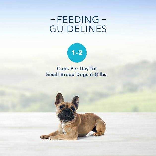 Variety Pack Pate Dog Food Trays X183