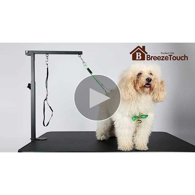 Dog Grooming Table Arm with Clamp and Post D745