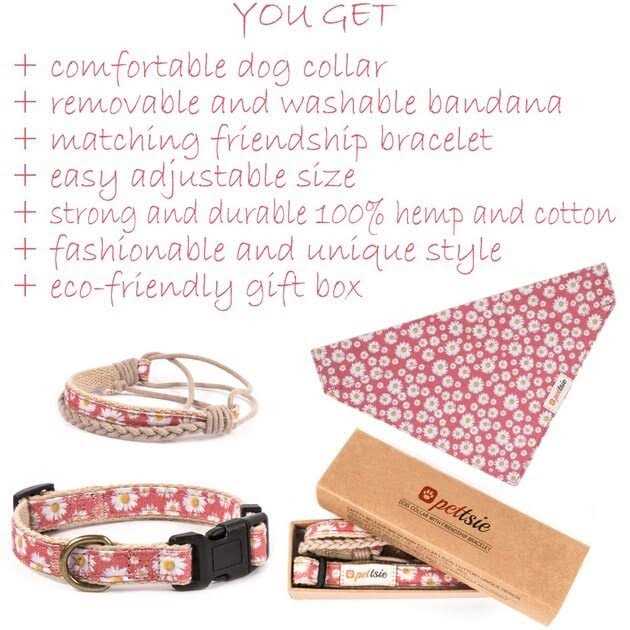 Matching Dog Collar, Bandana and Friendship Bracelet I3563