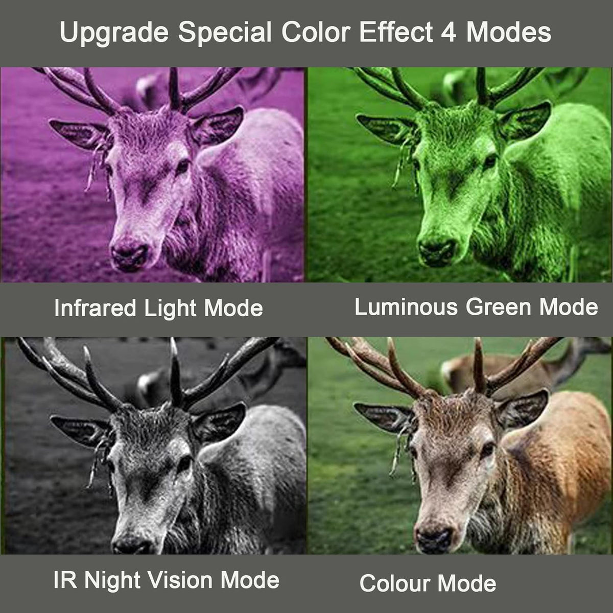 Night Vision Goggles and Day Binoculars Digital Infrared Goggles with 2.5 LCD Screen U9710
