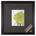 Black Square Gallery Wall Frame with Double Mat L56619