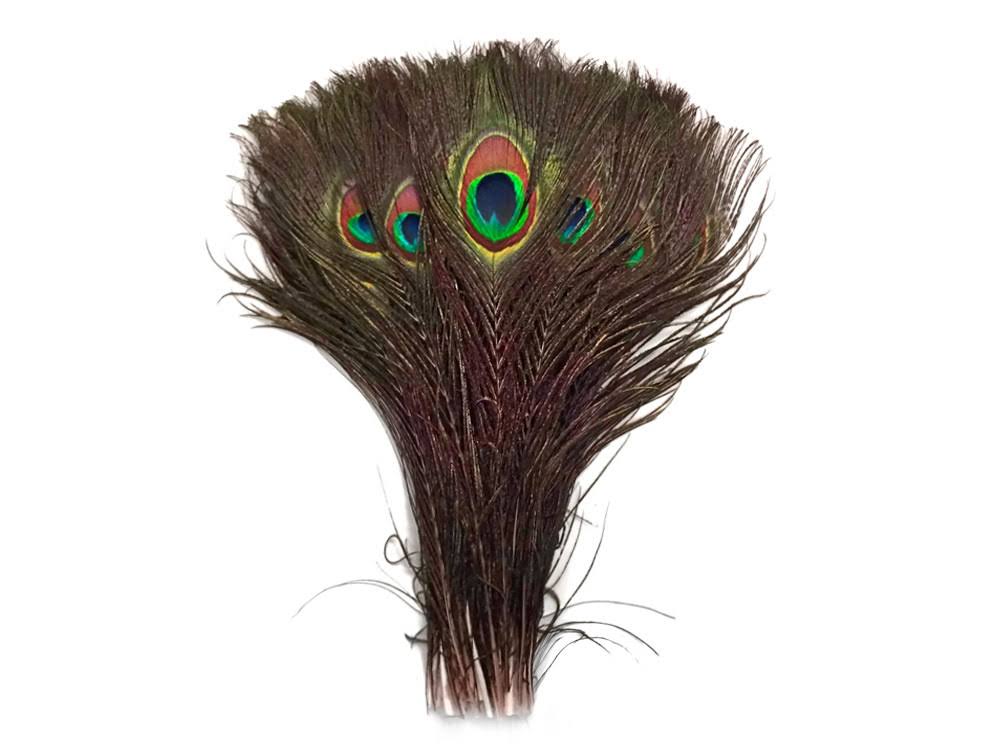 1000 Pieces Natural Peacock Tail Eye Wholesale Feathers N27972