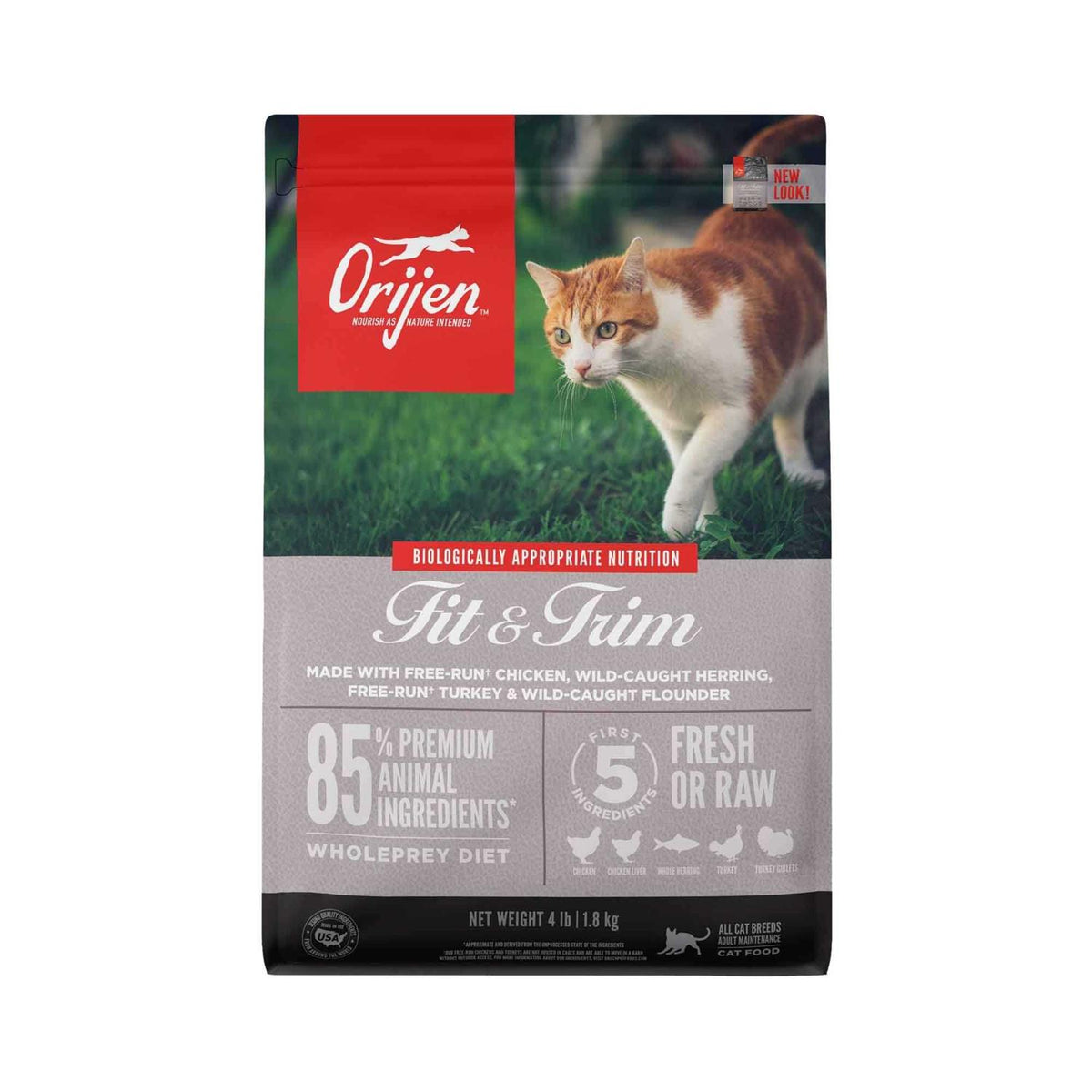 Cat Dry Food T65146