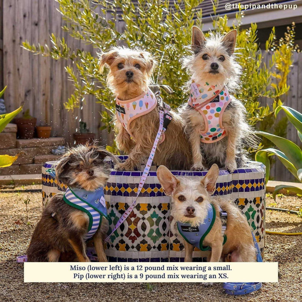 Reversible Harness E26148