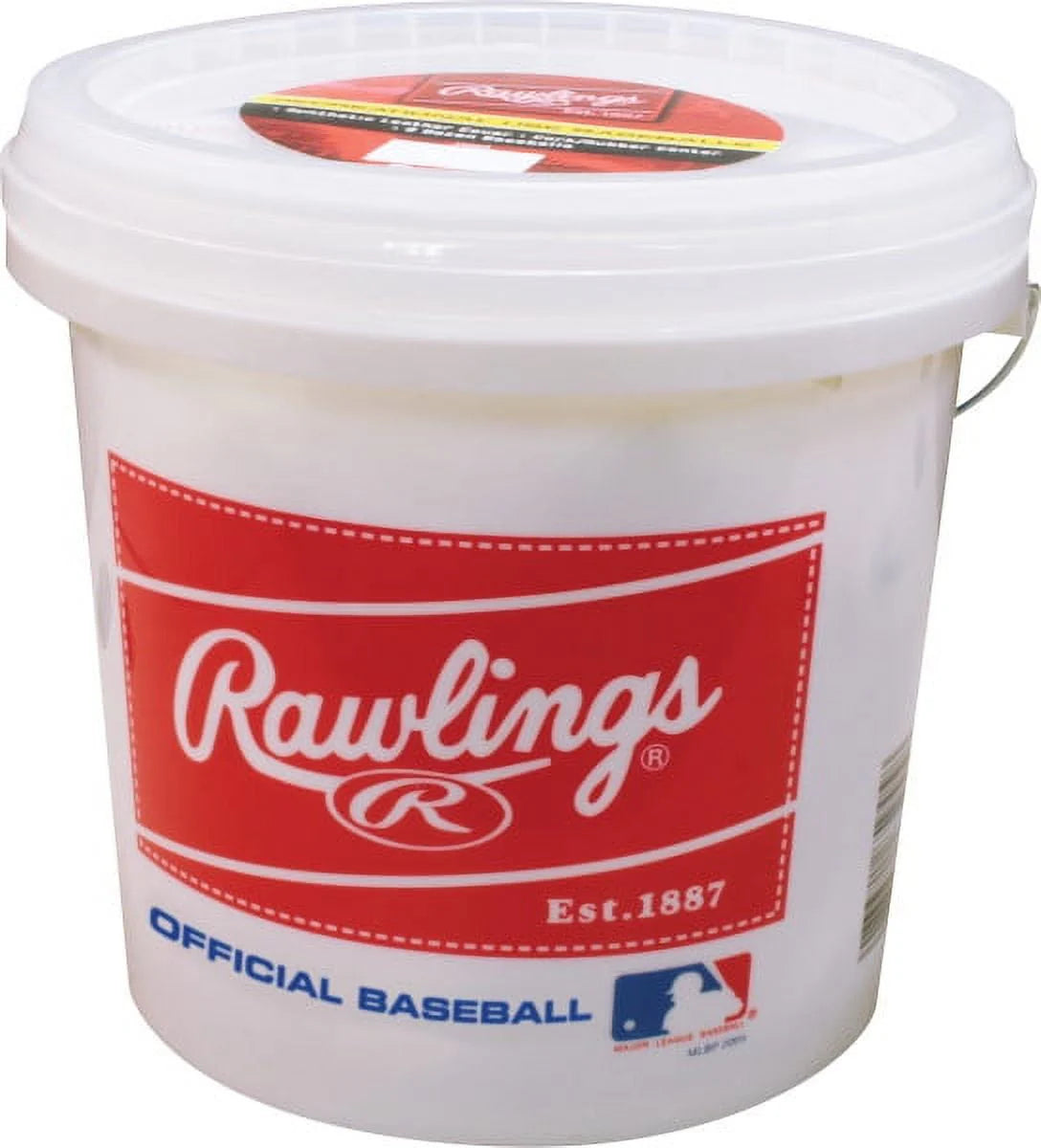 24 Pack Baseballs W1355