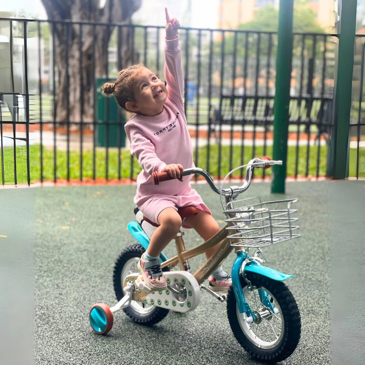12 Inch Kids Bike with Training Wheels & Basket A9273