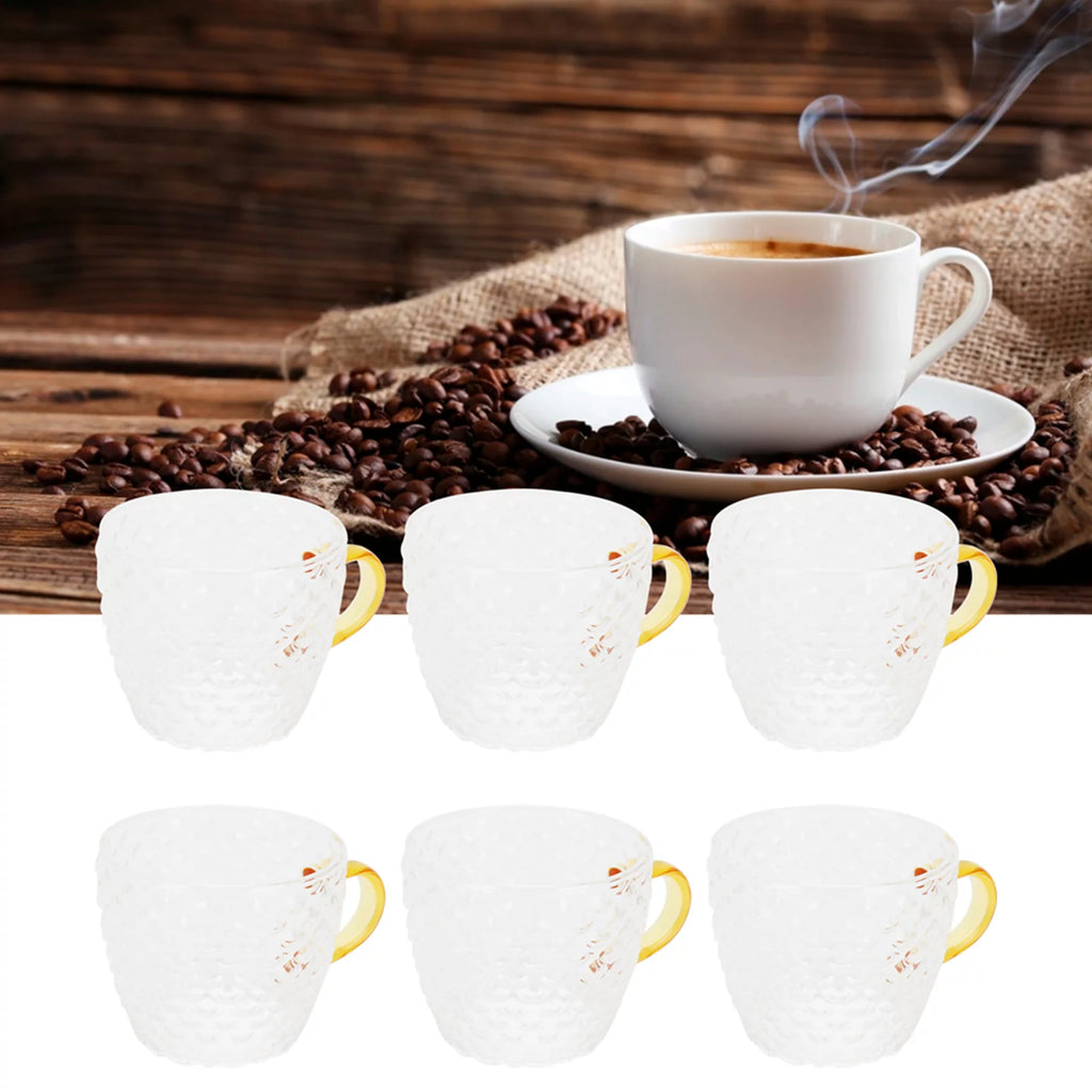 Heat Resistant Glass Cup with Handle 6Pcs Q555