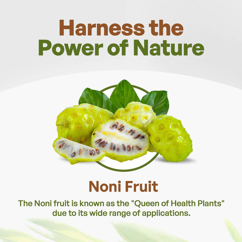 Organic Noni Fruit Powder 16 oz O11999