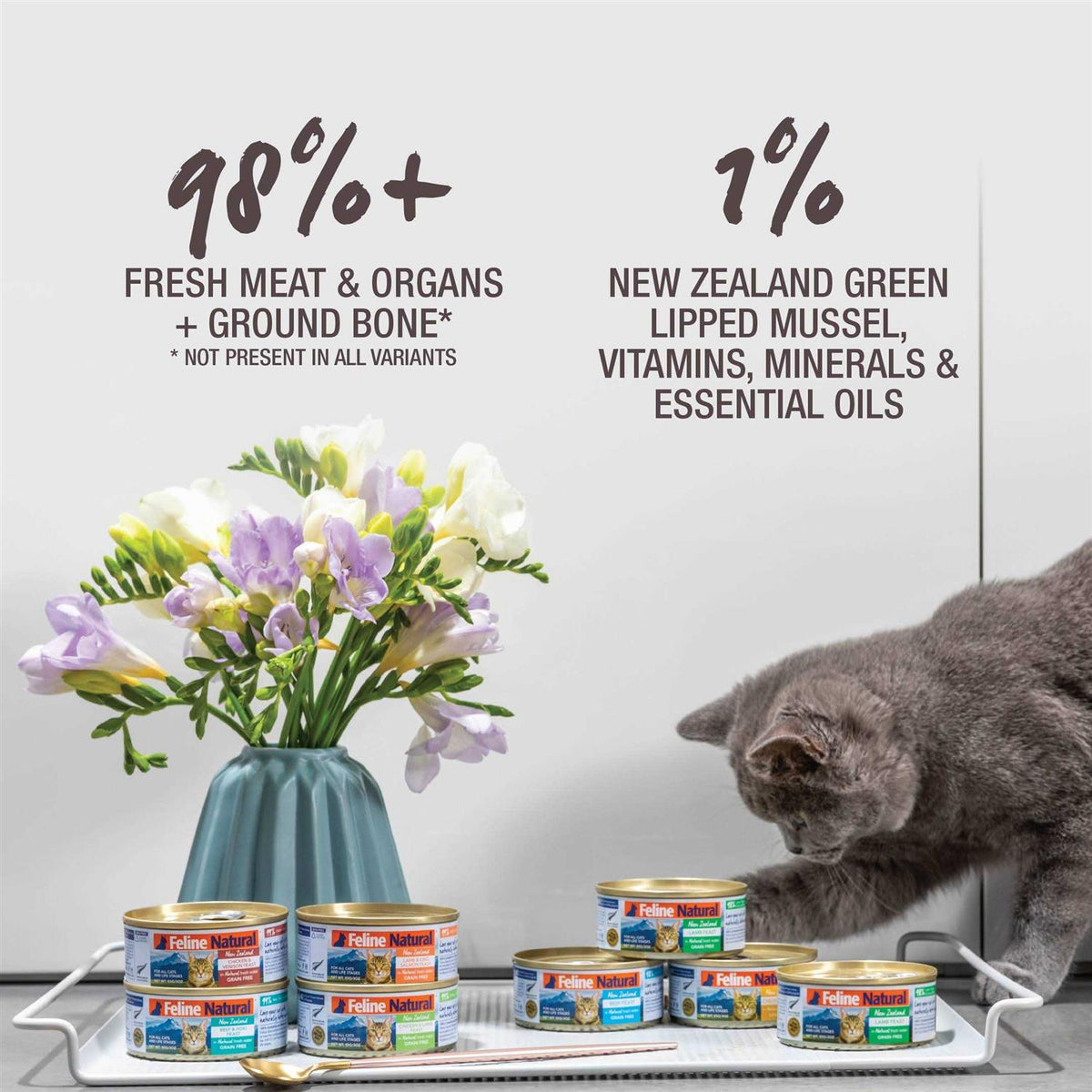 Chicken & Lamb Feast Cat Food T44914