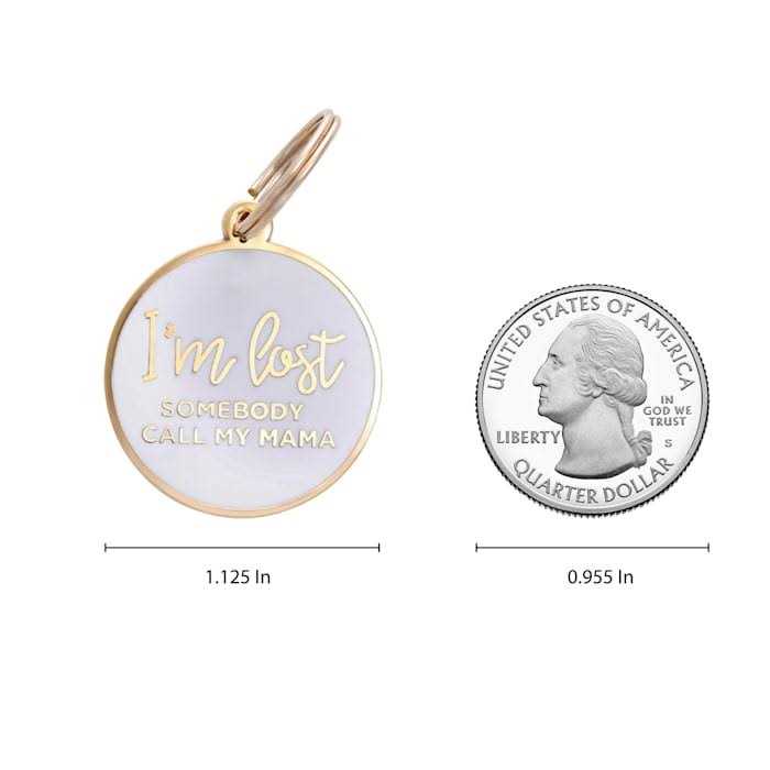 Gold & White Pet ID Tag T338807
