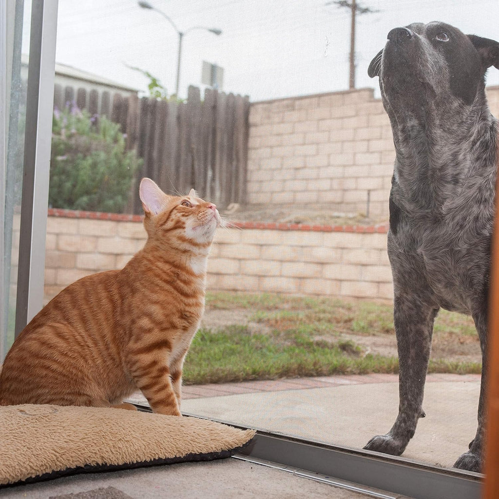 Pet Proof Screen 36” x 100’ Pack of 2 N93636